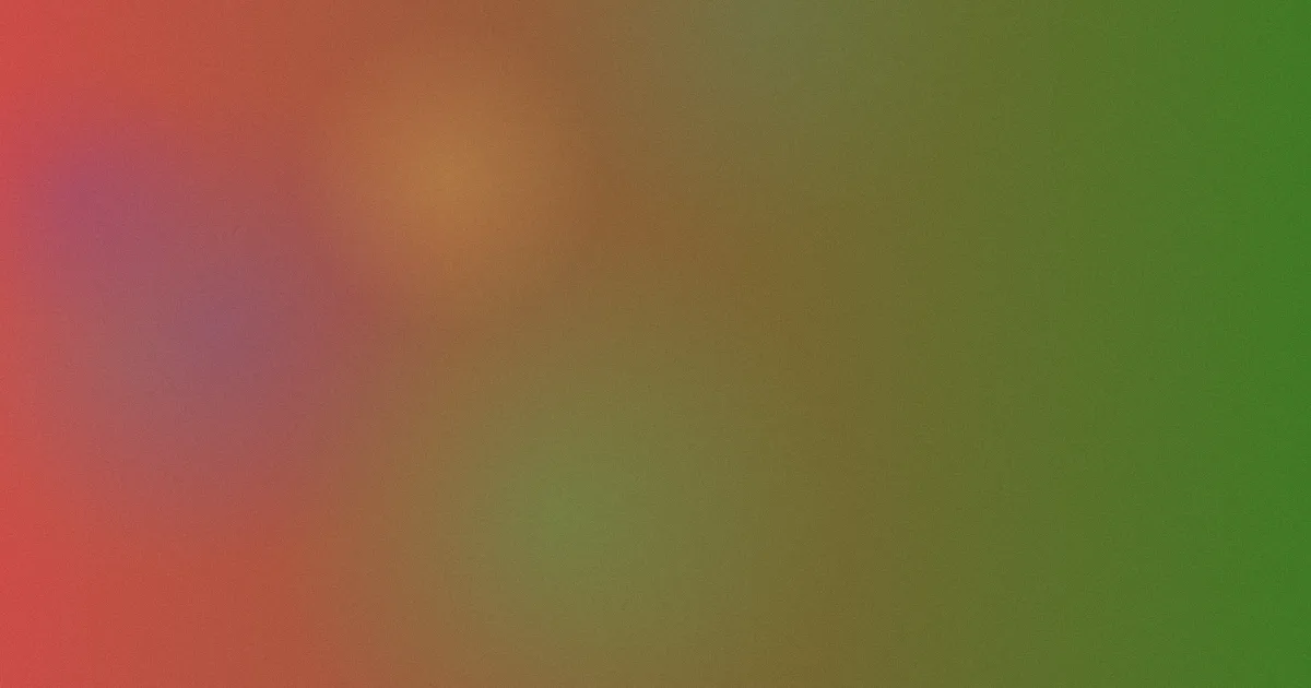 在线观看毛片网站推荐：新手先看
